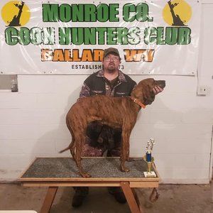 Meet your Posher, Douglas